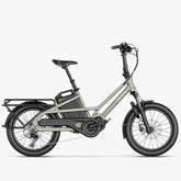 FIIDO T31 Electric bike with a cargo rack on a white background