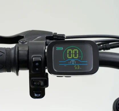Riding Times Z8 Electric Bike - US - Pogo Cycles