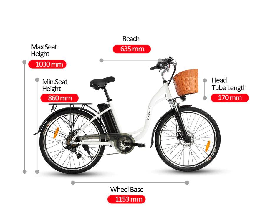 DYU C6 Upgraded Electric Bike Preorder - Pogo Cycles
