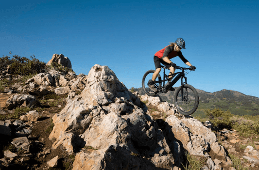 Mountain E-Bikes - Pogo Cycles bike to work available