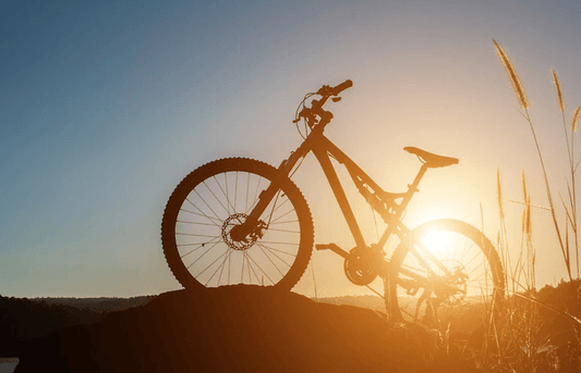 What Are Full Suspension E-Bikes? - Pogo Cycles bike to work available