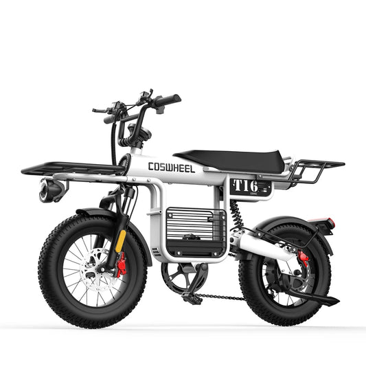 Coswheel T16 Electric Bike