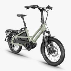Fiido T3 Urban Family Cargo Electric Bike
