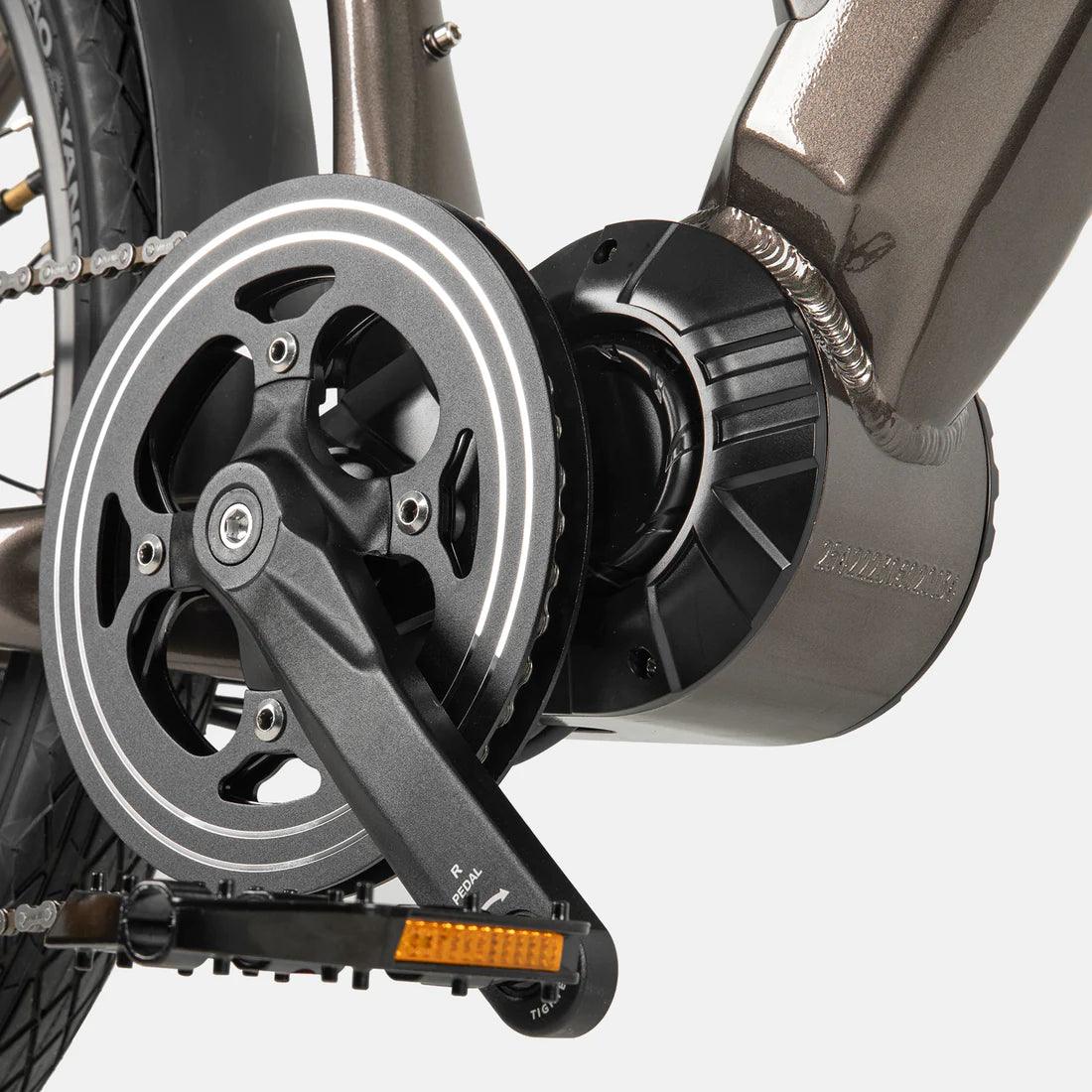 Crazybird Seta E-Bike - Pogo Cycles