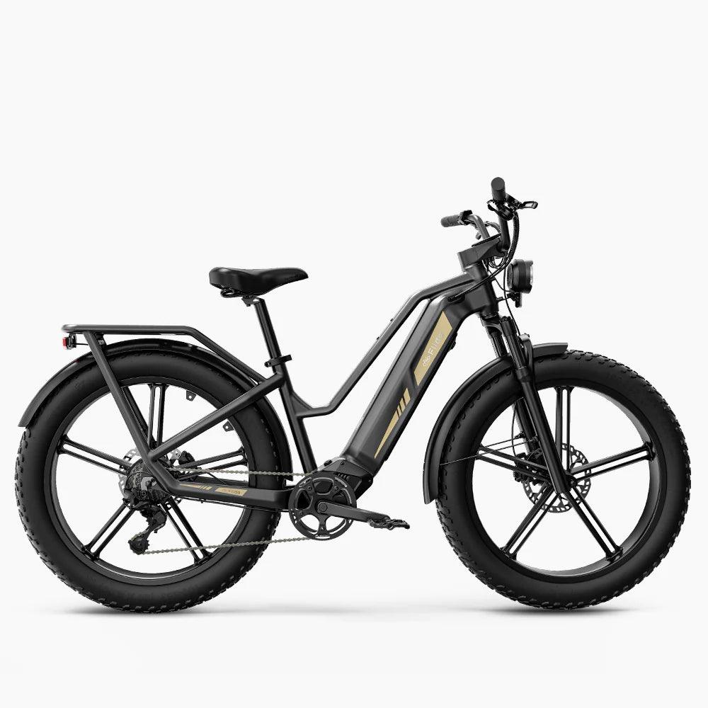Fiido Titan Robust Cargo Electric Bike - Pogo Cycles