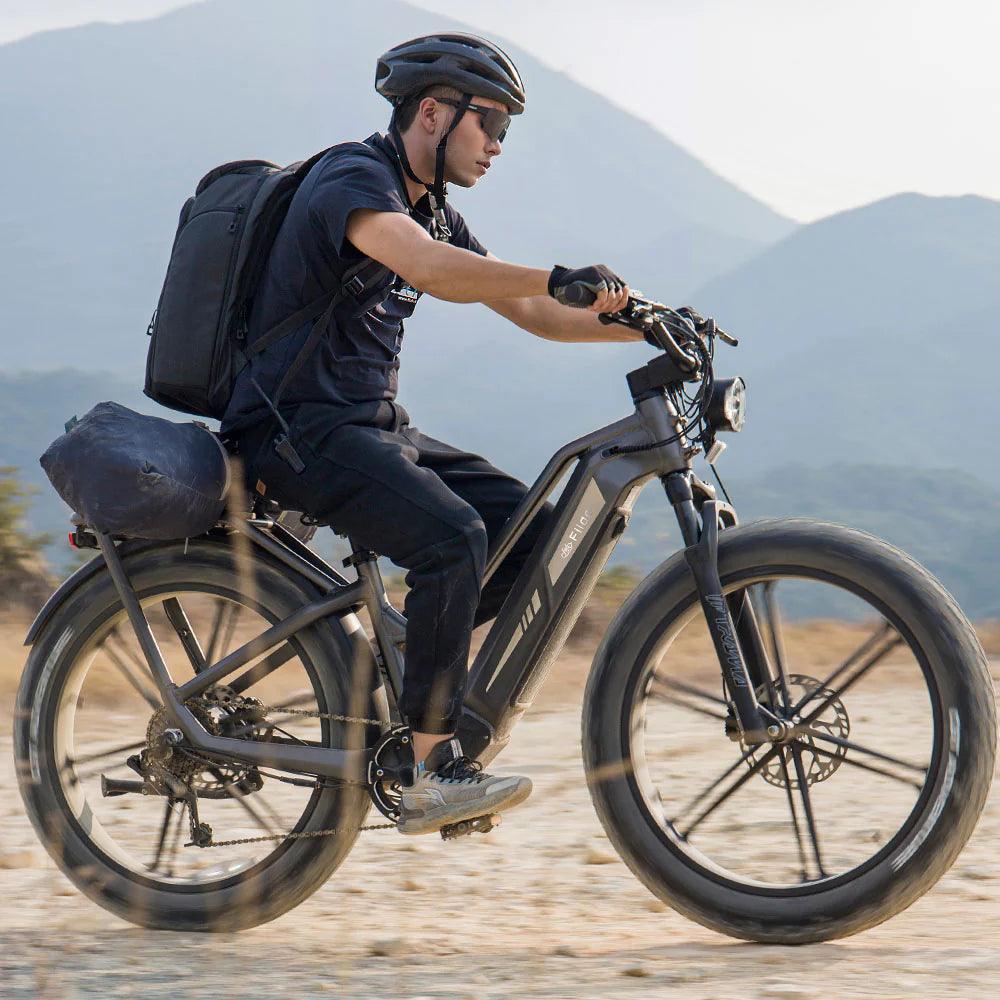 Fiido Titan Robust Cargo Electric Bike - Pogo Cycles