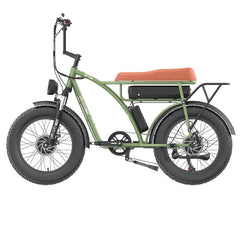 GOGOBEST GF750 Electric Bike US Dual 1000W Motors Pogo Cycles